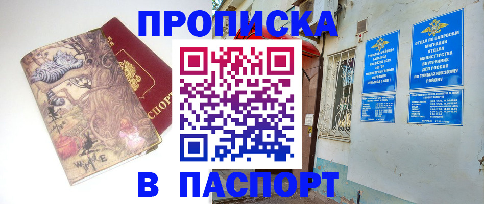 пропишу в квартире в Волосово